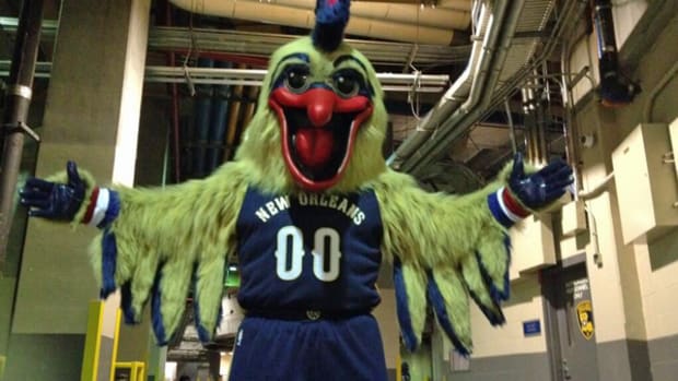 pierre-the-pelican-beak-surgery.jpg